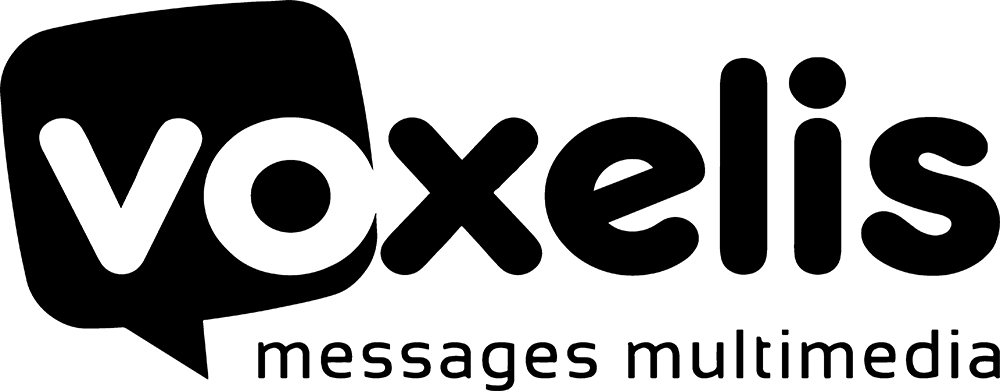 Expérience musicale Voxelis